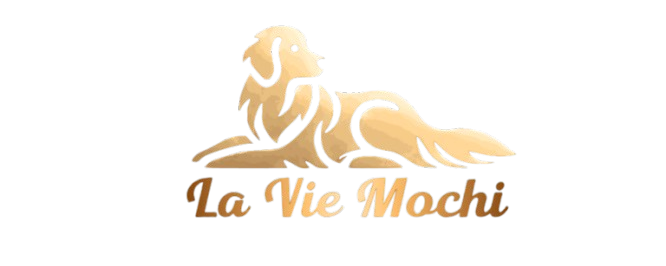 LaVieMochi